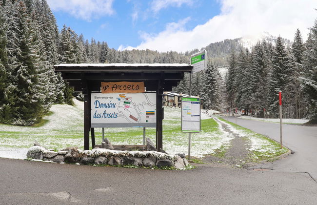 Les Arsets 301/11 - Foto 24