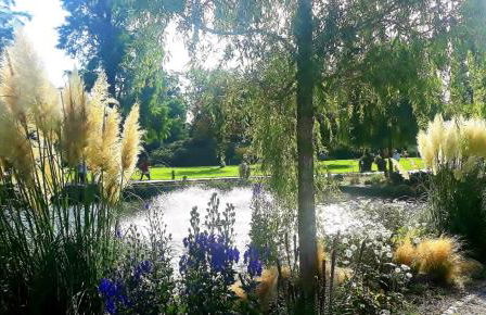 Haus Sonneneck 2 - Foto 18