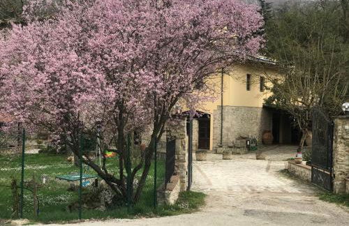 Il Vecchio Mulino - Foto 19