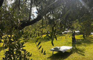 Punta Del Corno Agriturismo - Foto 50