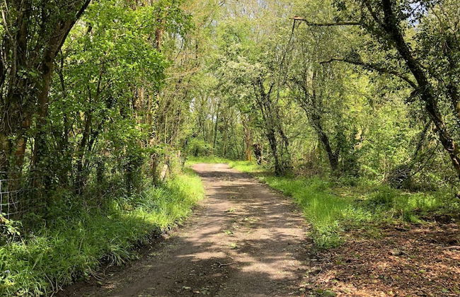 Idyllic Location, Stunning Views, Relax & Refresh in Peace & Comfort - Photo 31