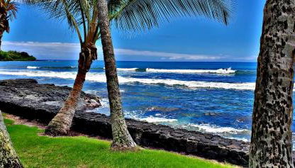 Ali'i Banyan Breeze - Photo 3