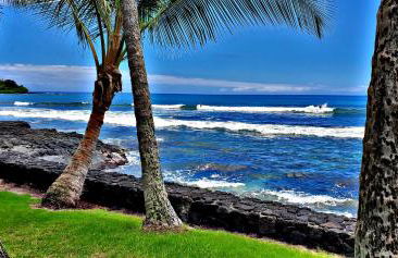 Ali'i Banyan Breeze - Photo 3