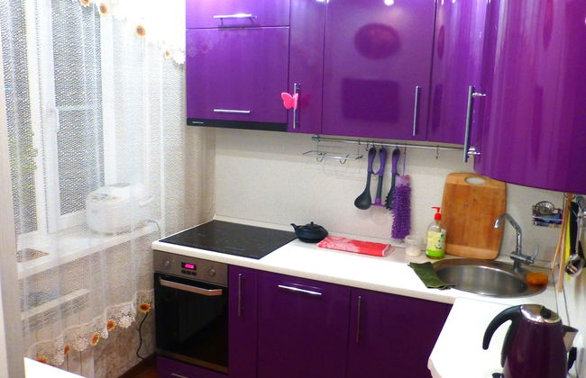 Apartments on Tolstogo 1 - Photo 35