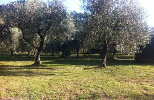 Appartamenti Borgo San Pietro - Foto 72