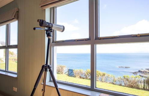 Half of One Culnacnoc - Foto 17