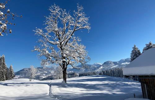 Bergblick Lodge - Photo 32