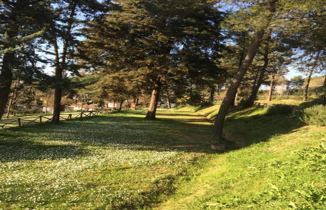 Holiday Home Tuscany With Pool Access - Foto 35