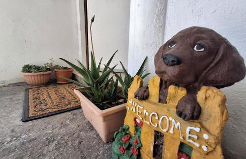 Benkovac sobe - Foto 3