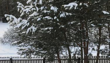 Drewniany Domek z Bali nad Bugiem - Foto 5