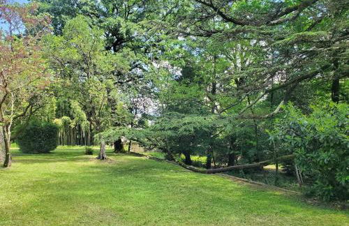 Dreamy Château for big groups and their pets - Foto 13