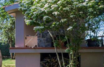 Agriturismo Podere Pizzicagallo - Foto 33