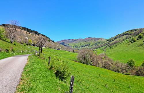 Le refuge de la vallée - 4 à 6 pers - proche de Salers - Foto 39