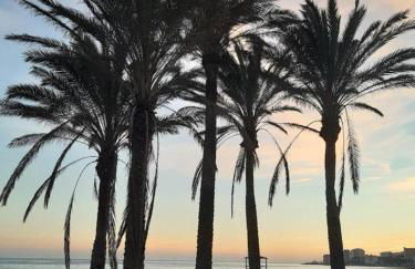 Benalbeach Zafiro by C&N - Photo 37