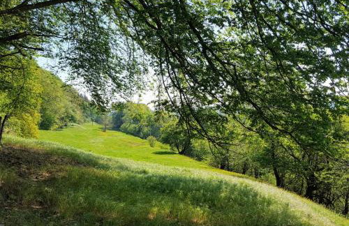 Sunhill Appartments, klimatisiert - Foto 9