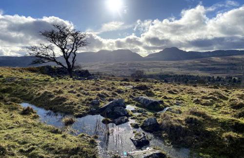 Beautifully Restored Log Cabin - Foto 16