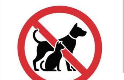 Don Divino - Foto 26