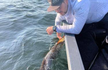 domki Kalskie Impresje - Foto 64