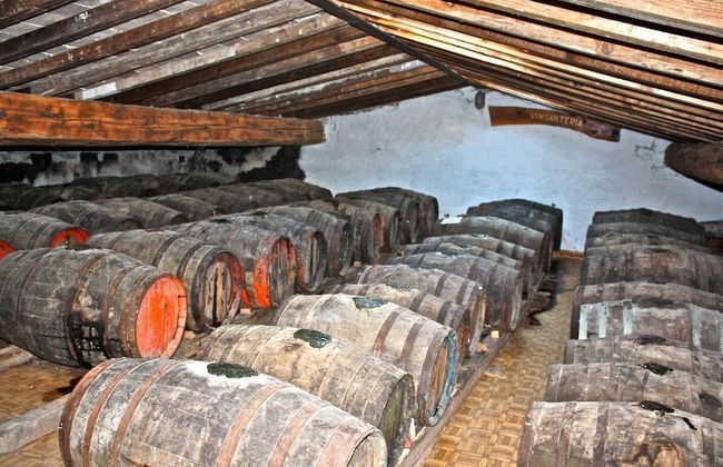 Agriturismo Fattoria di Castiglionchio - Foto 51