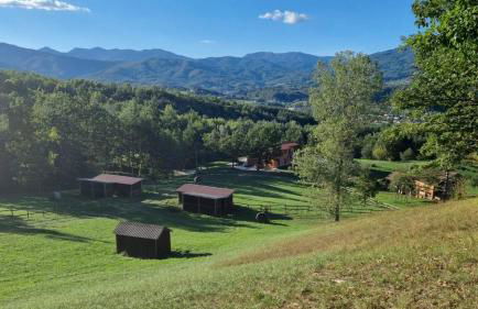 Oasi di pace nella Val di Taro - Photo 50