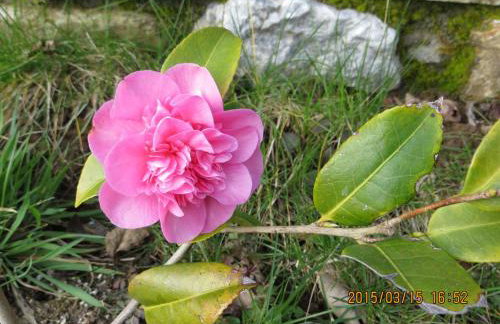 Polgwedhen Lodge - Photo 43