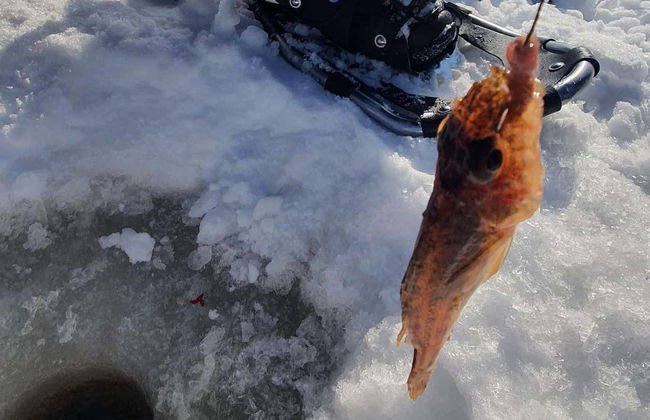 Paseo con raquetas de nieve + Pesca en el hielo - Foto 7