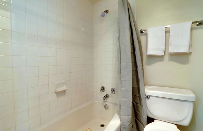 Spacious 2BR Apartment in Crystal City - Photo 32