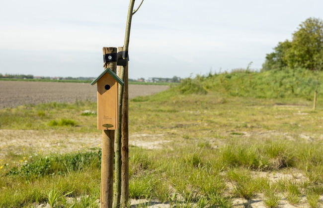 Cottage in Wissenkerke Near Het Bokkegat - Foto 39