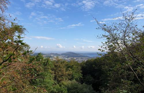 fewo-elzerhof - Foto 36