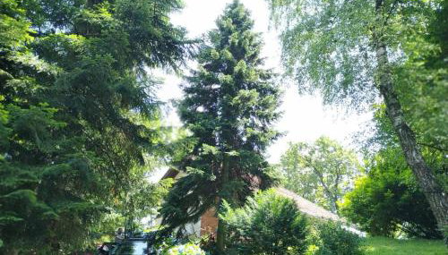 Old Chestnut Vacation Home - Foto 2