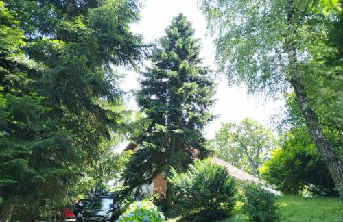 Old Chestnut Vacation Home - Foto 2