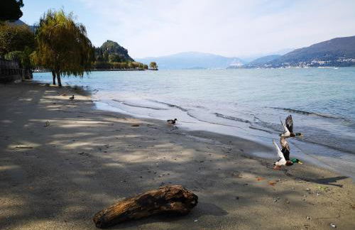 Feluca Porto - Photo 27