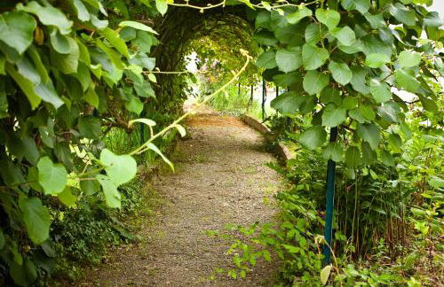 Clos Mirabel Manor - Holiday rental - Foto 62