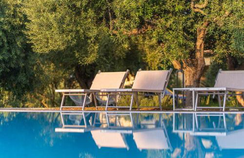 Armandiola - Foto 61