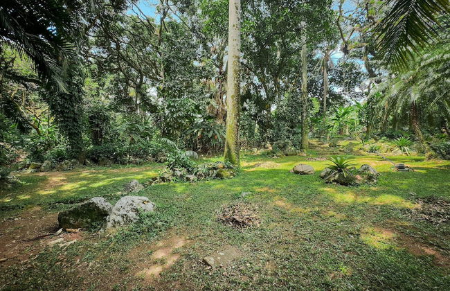 Pé na areia - Praia do Curral - Ilhabela - Foto 37