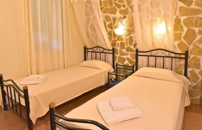 Olive Farm - Foto 37