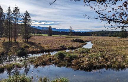 LIBORIA I Traumhafte Ferienwohnung in Aidling am Riegsee - Foto 26