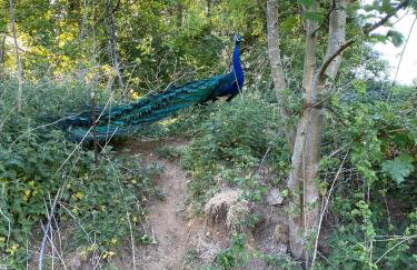 Paddock View - Snetterton Norfolk - Foto 21