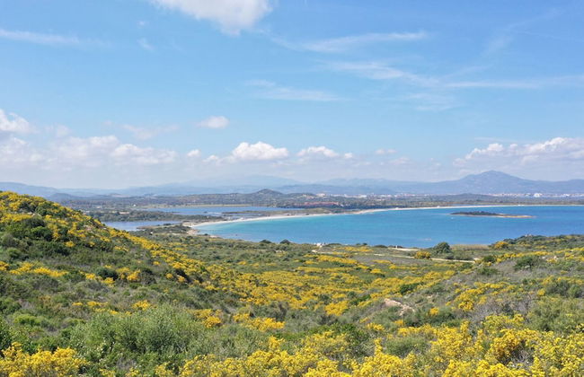 Capo Ceraso Family Residence - Photo 75