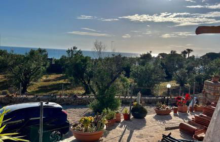 Trulli delle succulente - Foto 16