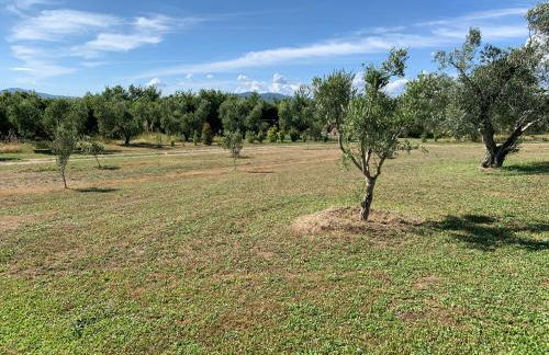 Resort Fonte Vulci - Foto 95