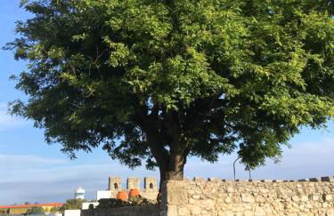 Casa da Alcacova - Santarém - Foto 29