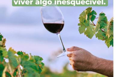 Casa na 1a adega de São Roque - Photo 34