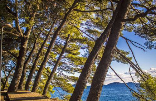 Apartments Karoma - Foto 37