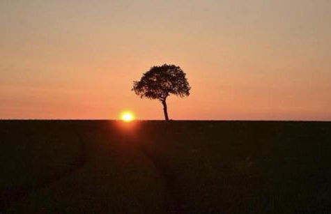 La chaumière - Foto 27