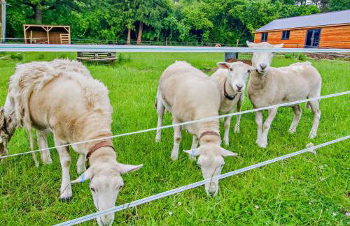 1 Bed in Newport oc-94188 - Foto 19