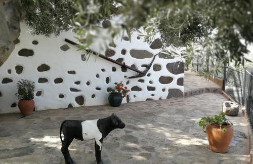 La casa vieja de la Montaña - Foto 33