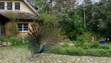 Senfmühle Lubast - Foto 2