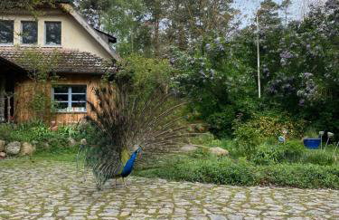 Senfmühle Lubast - Photo 2