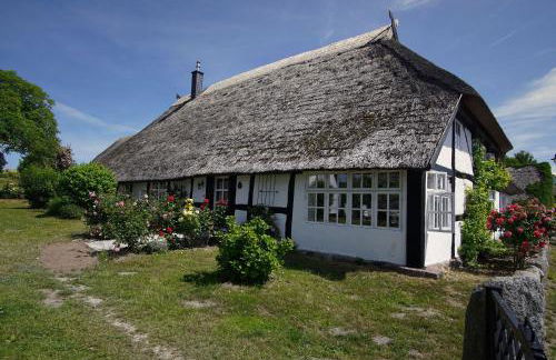 strandnahe Idylle am Meer, private Badestelle mit Strandkorb - Gutshof Ostseeblick FeWo Nr 04 - Photo 24